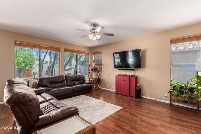 living room featuring ceiling fan and dark wood-type flooring