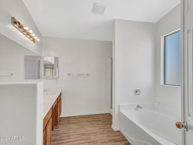 bathroom featuring vanity, plus walk in shower, and wood-type flooring