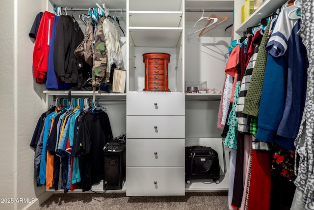 887 W Santa Gertrudis Trl, San Tan Valley, AZ 85143 - walk in closet featuring carpet