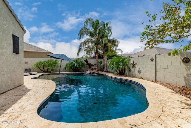 887 W Santa Gertrudis Trl, San Tan Valley, AZ 85143 - view of pool with a fenced backyard
