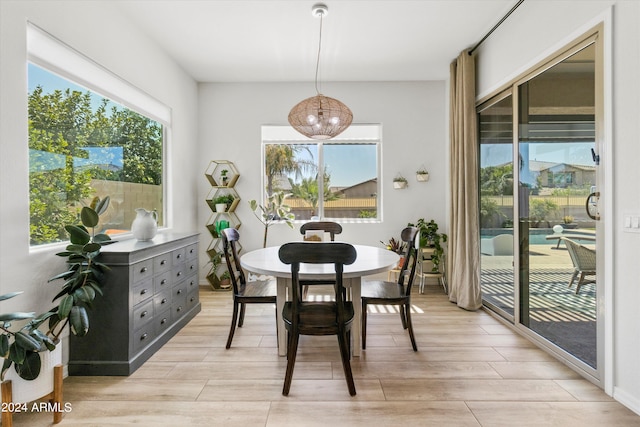 dining room featuring light hardwood / wood-style floors and a healthy amount of sunlight