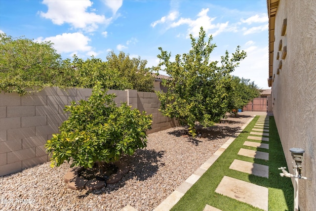 21487 E Arroyo Verde Dr, Queen Creek, AZ 85142 - view of yard featuring a fenced backyard