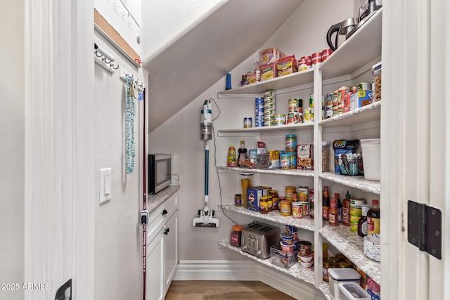 view of pantry