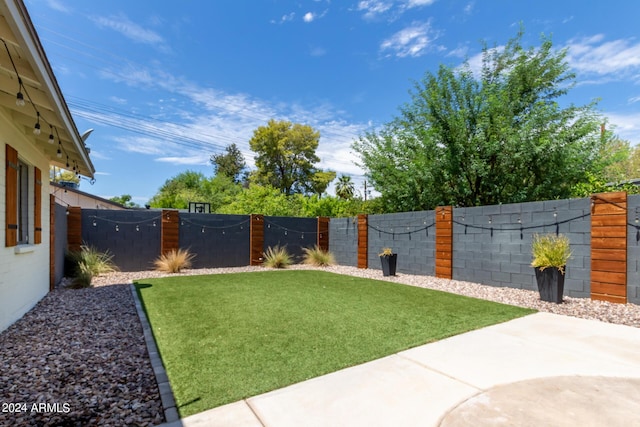 2520 E Flower St, Phoenix, AZ 85016 - view of yard
