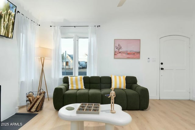 living room featuring hardwood / wood-style floors