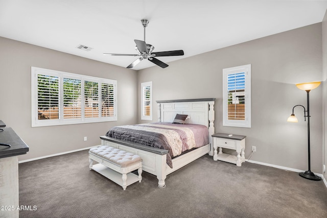 21004 E Sunset Dr, Queen Creek, AZ 85142 - carpeted bedroom featuring baseboards, multiple windows, and visible vents