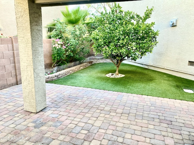 view of yard with a fenced backyard and a patio