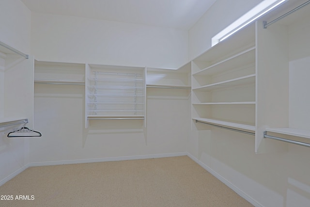 walk in closet featuring carpet floors