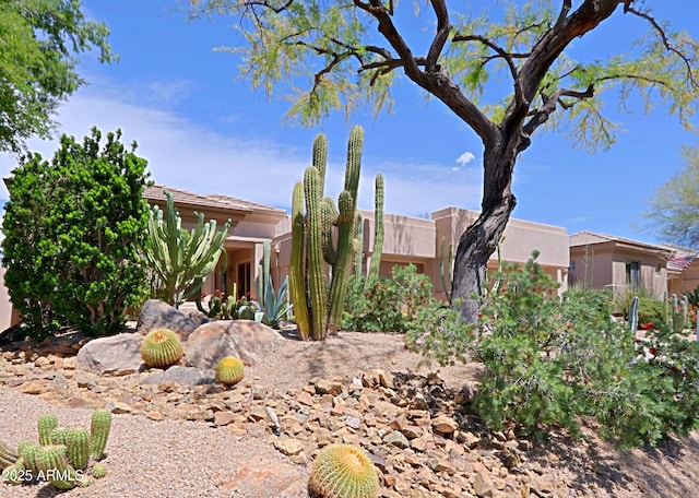 view of front facade featuring stucco siding