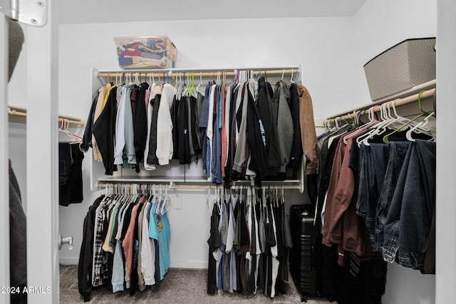 spacious closet featuring carpet floors