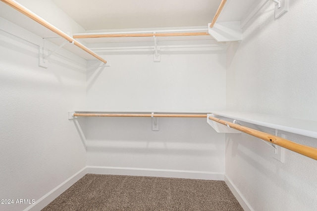 walk in closet with carpet flooring