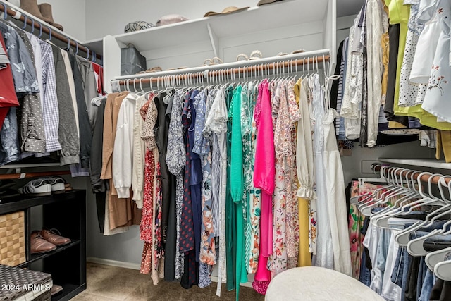 view of spacious closet