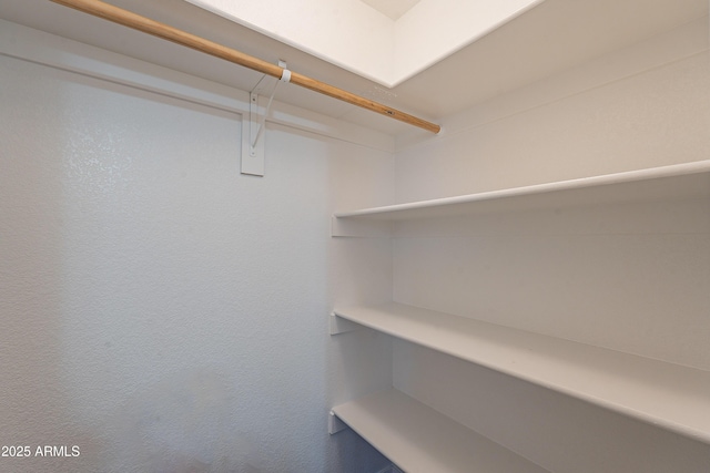 719 E Broadway Ave, Apache Junction, AZ 85119 - view of walk in closet