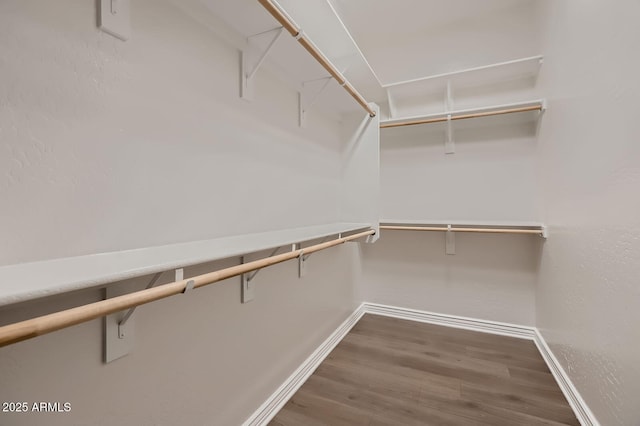 13145 W Whisper Rock Trl, Peoria, AZ 85383 - walk in closet with wood finished floors