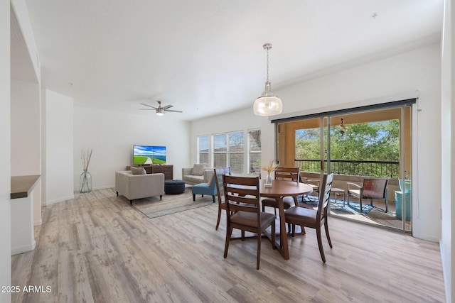 dining area with ceiling fan and light wood-type flooring