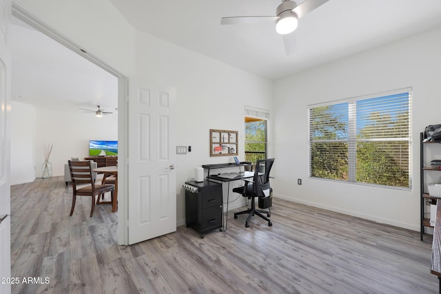 office area featuring ceiling fan and light hardwood / wood-style floors