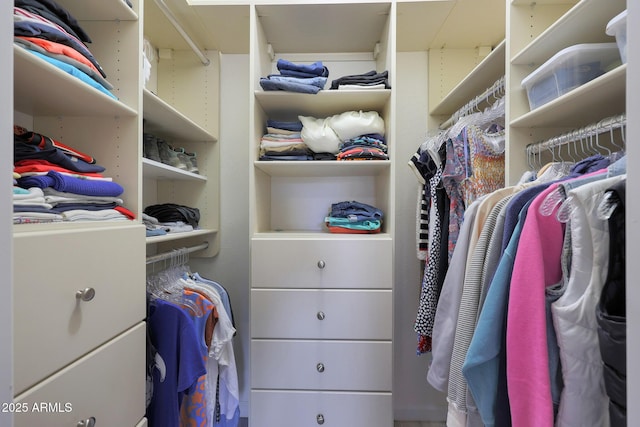 view of spacious closet