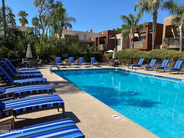 view of swimming pool with a patio area