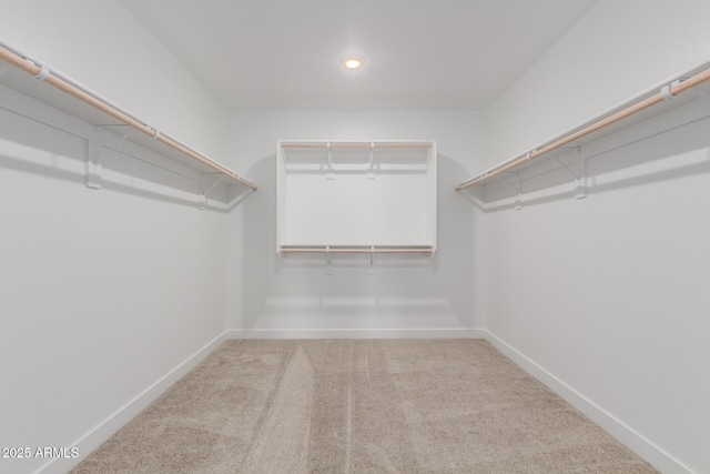 walk in closet with carpet flooring