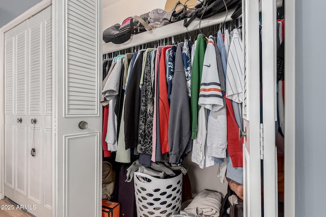 view of spacious closet