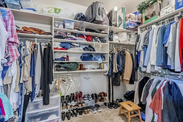 spacious closet with carpet flooring