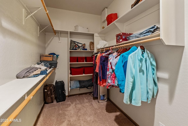 walk in closet with light colored carpet