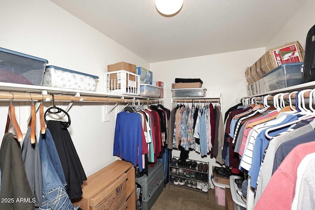 spacious closet featuring carpet flooring