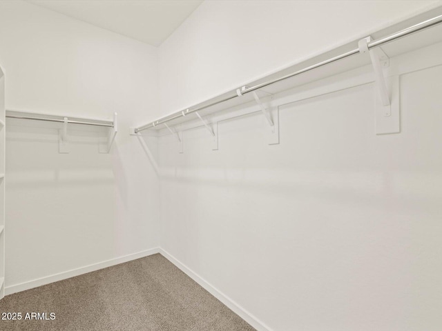 5573 S 246th Ave, Buckeye, AZ 85326 - walk in closet featuring carpet