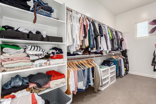 21716 E Waverly Dr, Queen Creek, AZ 85142 - walk in closet featuring carpet flooring