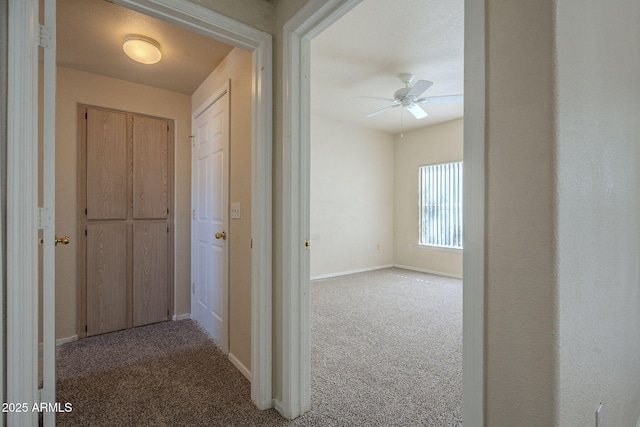 hallway featuring carpet flooring