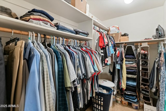 spacious closet featuring carpet flooring