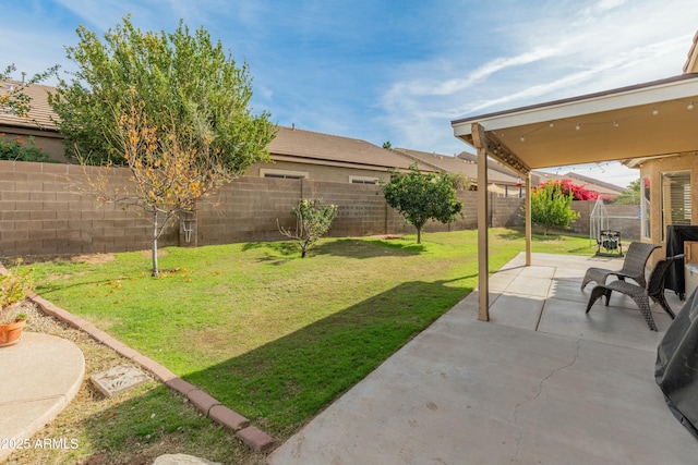 view of yard with a patio