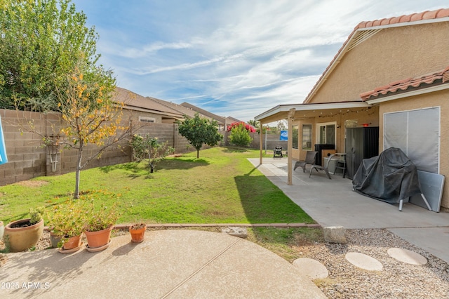 view of yard featuring a patio