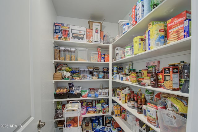 view of pantry