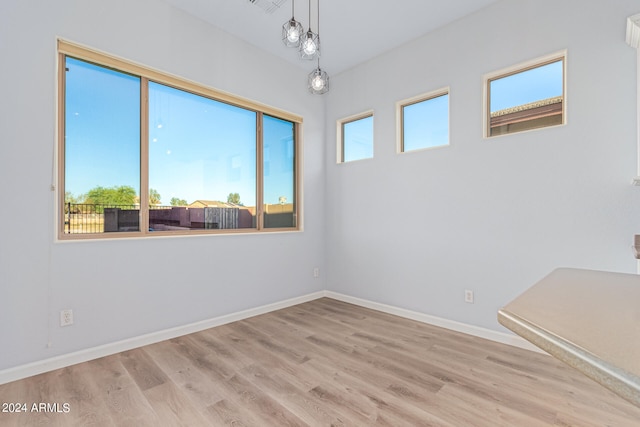 empty room featuring a healthy amount of sunlight and light hardwood / wood-style floors