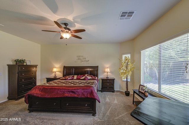 6554 W Rushmore Way, Florence, AZ 85132 - bedroom with multiple windows, carpet flooring, and a ceiling fan