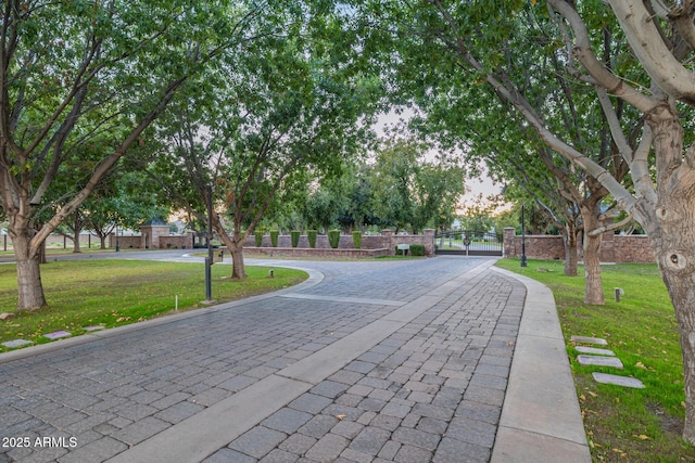 view of home's community with a lawn