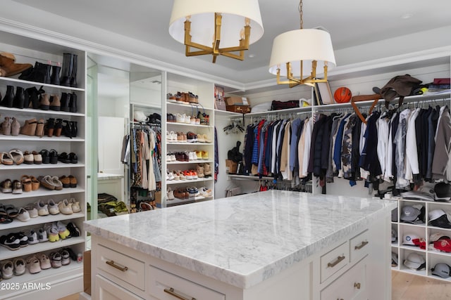 spacious closet featuring light wood-type flooring