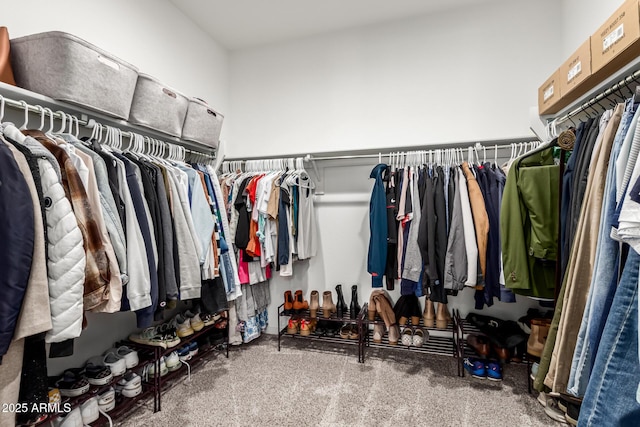 walk in closet featuring carpet floors