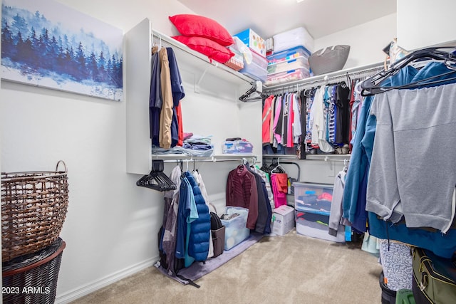 spacious closet with light colored carpet