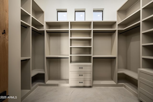 view of spacious closet