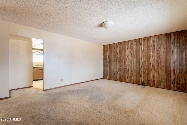 1654 E 2nd St, Mesa, AZ 85203 - carpeted empty room featuring wood walls, a sink, baseboards, and a textured ceiling