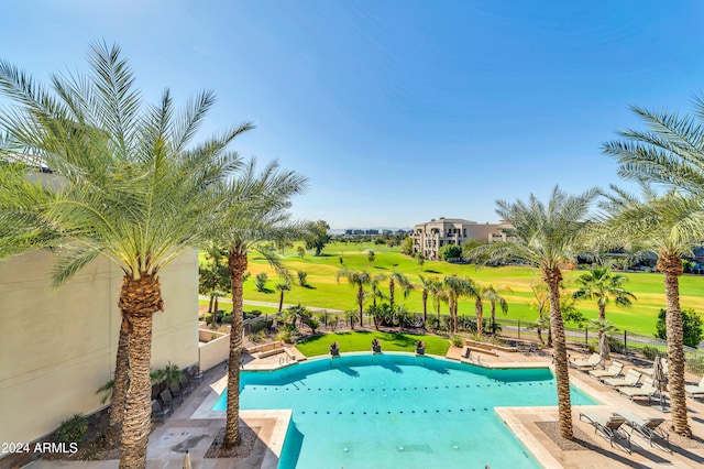 view of pool featuring a patio and a lawn