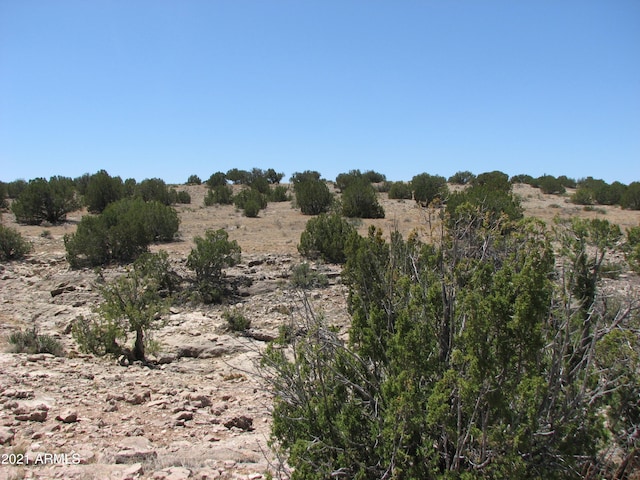 546 Flat Bush Rd Unit 815, Heber, AZ 85928