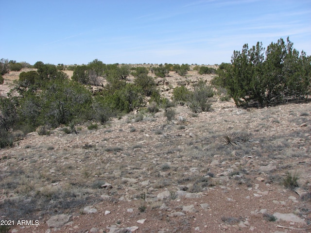 546 Flat Bush Rd Unit 815, Heber, AZ 85928