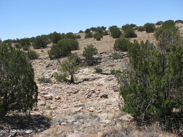 546 Flat Bush Rd Unit 815, Heber, AZ 85928