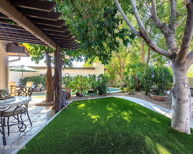 view of yard featuring a patio area