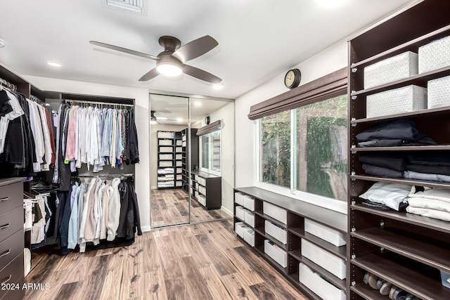 walk in closet featuring ceiling fan and wood-type flooring