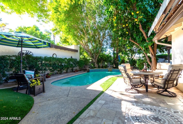 view of pool featuring a patio