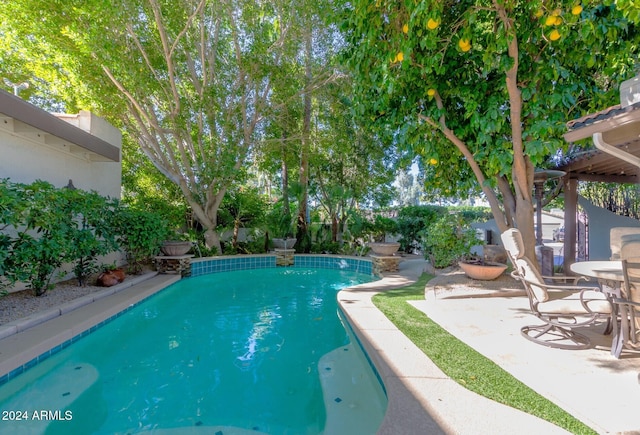 view of pool featuring a patio area